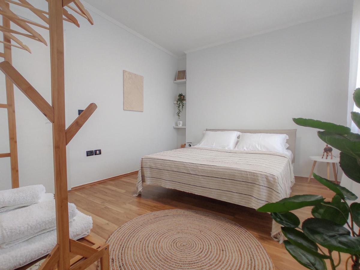 Boho Style In Center Of Tirana Apartman Kültér fotó